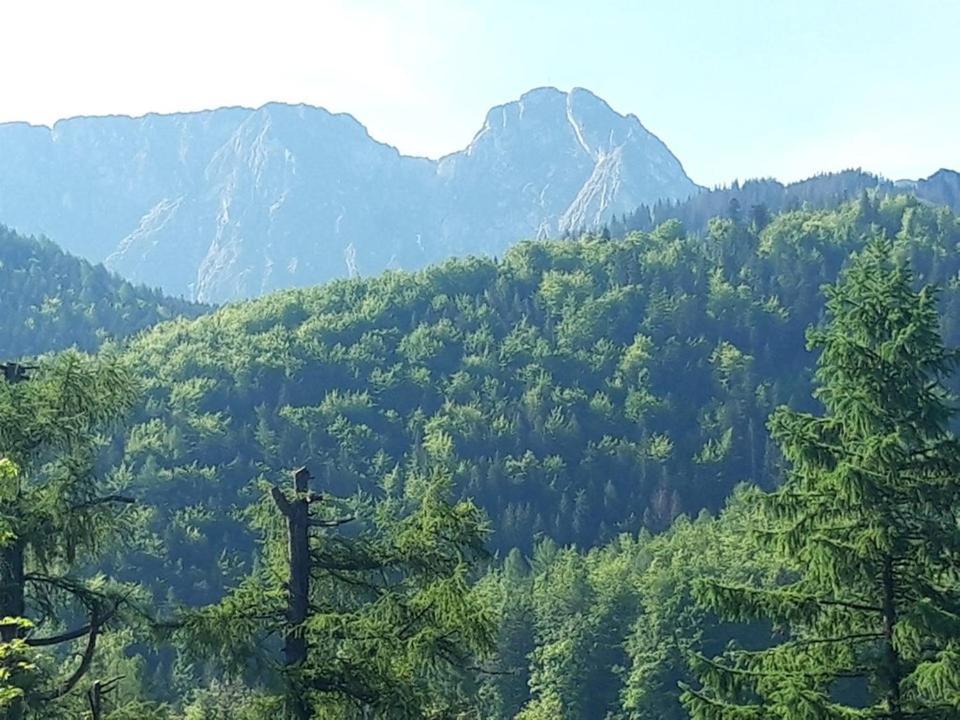 Kwatery Prywatne-Romanówka Zakopane Exterior foto